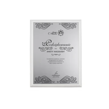 Dyplom uznania - srebrny laminat grawerski - podkład biały mat - DS017