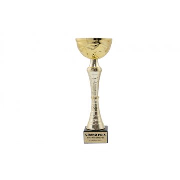 Puchar Patrick - złoty - P9251