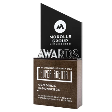 Statuetka biznesowa - podziękowanie za wyjątkowe osiągnięcia - wys. 23 cm - DTA220